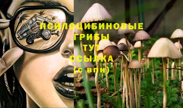 стафф Алексин