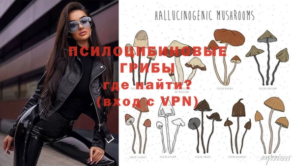 первитин Абинск