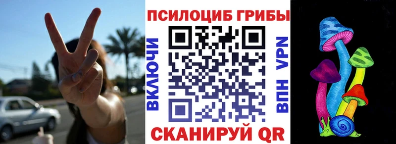 где купить наркоту  Осташков  Галлюциногенные грибы GOLDEN TEACHER 